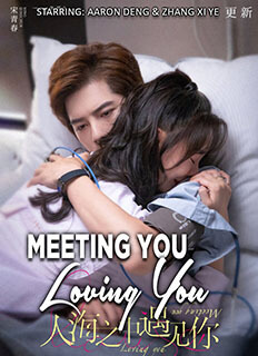 Meeting You Loving You (2021) starring Aaron Deng