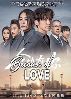 Because of Love (2022) Chinese Drama