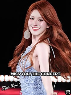 Miss You The Concert