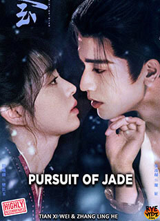 Pursuit of Jade (2026) Chinese Drama