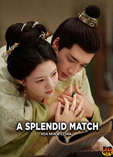 A Splendid Match (2026) Chinese Drama